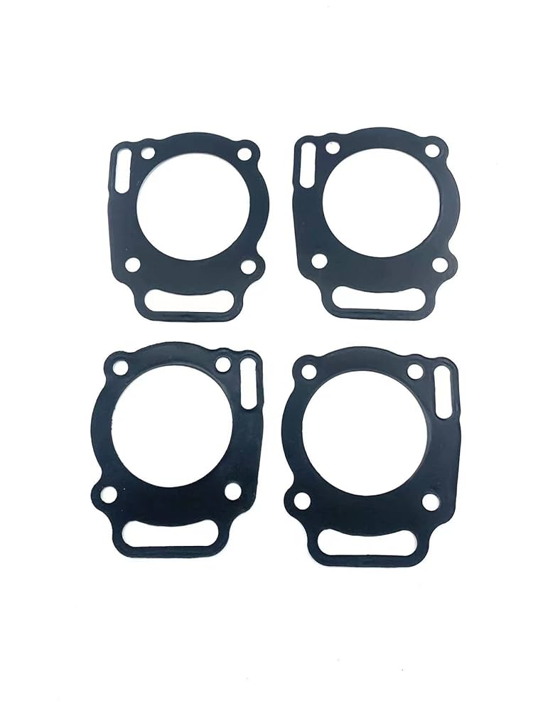 Amazon.com: Dgdhf Replacement Cylinder Head Gasket 807986
